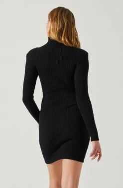 Gwendolyn Turtleneck Sweater Mini Dress -Chic Ladies Wear Shop ACDR100970SH BLACK 5