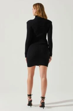 Gwendolyn Turtleneck Sweater Mini Dress -Chic Ladies Wear Shop ACDR100970SH BLACK 6