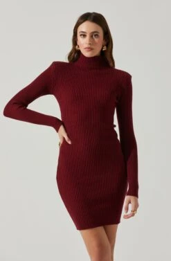 Gwendolyn Turtleneck Sweater Mini Dress -Chic Ladies Wear Shop ACDR100970SH WINE 3
