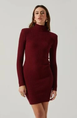 Gwendolyn Turtleneck Sweater Mini Dress -Chic Ladies Wear Shop ACDR100970SH WINE 4