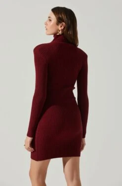 Gwendolyn Turtleneck Sweater Mini Dress -Chic Ladies Wear Shop ACDR100970SH WINE 5