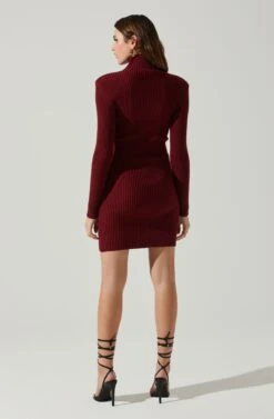Gwendolyn Turtleneck Sweater Mini Dress -Chic Ladies Wear Shop ACDR100970SH WINE 6