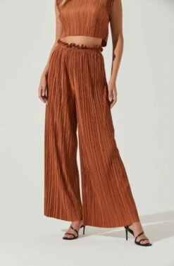 Cruise Pleated Wide Leg Pants -Chic Ladies Wear Shop ACP7230 RUST 1