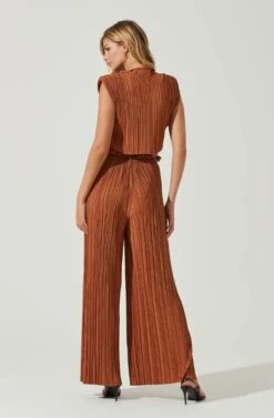 Cruise Pleated Wide Leg Pants -Chic Ladies Wear Shop ACP7230 RUST 3