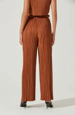 Cruise Pleated Wide Leg Pants -Chic Ladies Wear Shop ACP7230 RUST 4