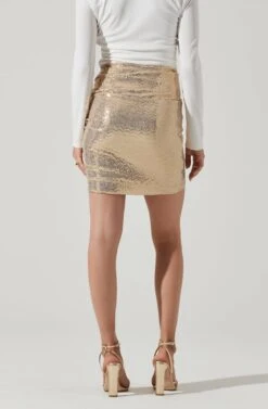 Dancing Queen Sequin Mini Skirt -Chic Ladies Wear Shop ACS9077 GOLD 4 f752f0a9 65e0 4f42 9254 6d8108bdaa1a
