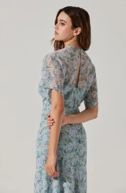 Flutter Sleeve Open Back Maxi Dress 24 Flutter Sleeve Open Back Maxi Dress -Chic Ladies Wear Shop ADR101803 LIGHTBLUEMULTIFRL 6