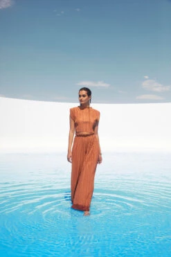 Cruise Pleated Wide Leg Pants -Chic Ladies Wear Shop ASTR SPR22 PT1 1561